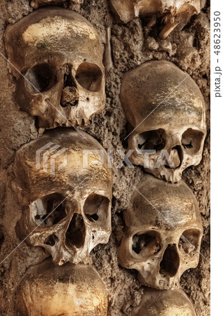 Skull and human bones. Cemetery ancient wall pattern. Horror dark chapel. Death pattern concept Skull and human bones. Cemetery ancient wall pattern. Horror dark chapel. Death pattern concept 48623950
