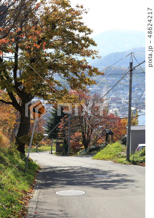北海道　小樽　坂の街小樽　励ましの坂 48624217
