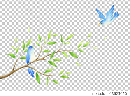 Branches Of Trees And Blue Birds Stock Illustration