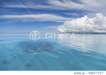 透明度抜群のサンゴ礁の海 48627557