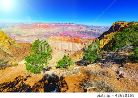 Grand Canyon in Arizona Grand Canyon in Arizona 48628169