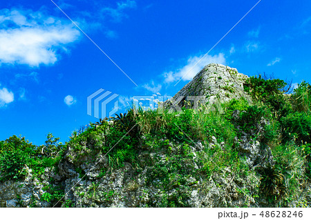 中城城址 48628246