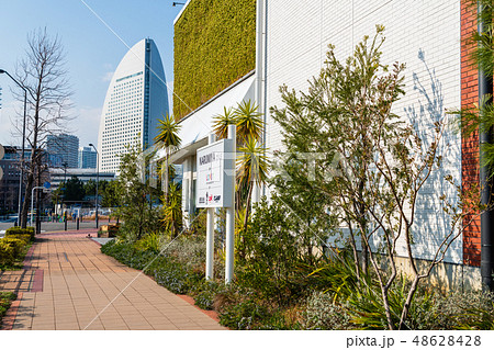 MARINE & WALK YOKOHAMA 48628428