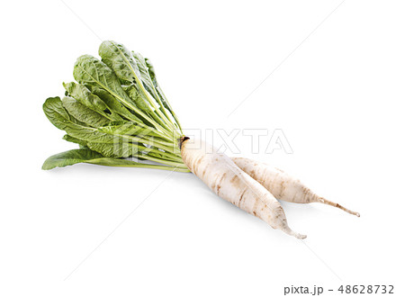 daikon radishes isolated on white background daikon radishes isolated on white background 48628732