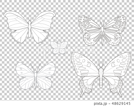 蝶の手書きイラスト素材線画のイラスト素材