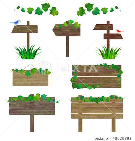 小鳥 ツタ 看板 セット 48629893