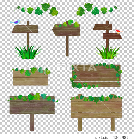 小鳥 ツタ 看板 セット 48629893