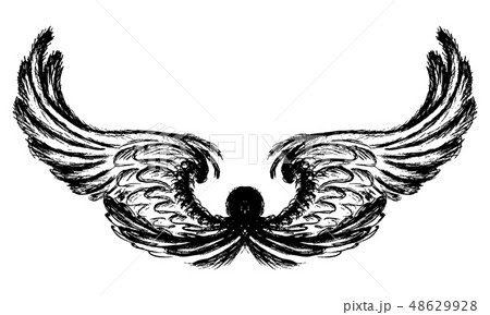Wings isolated on white background,hand drawing 48629928