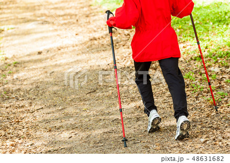 Nordic walking. Female legs hiking in forest or park. Nordic walking. Female legs hiking in forest or park. 48631682