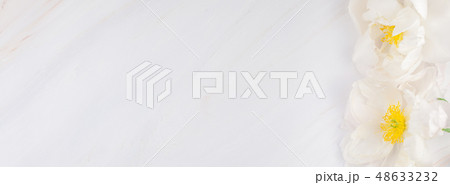 White peony flowers on marble background 48633232