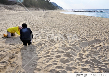 京都府 網野町 早春の琴引浜(鳴き砂) 京都府 網野町 早春の琴引浜(鳴き砂) 48633459