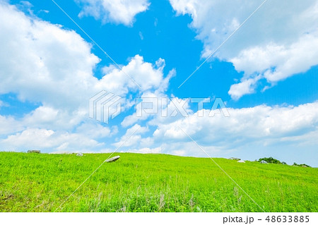 さわやかな高原風景 48633885