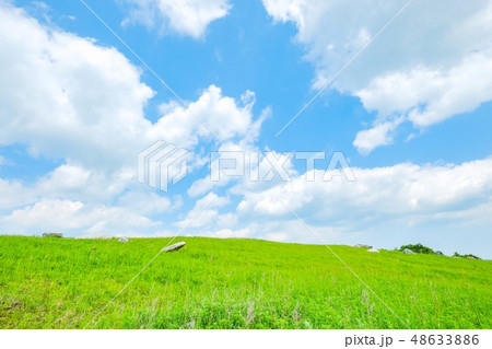 さわやかな高原風景 さわやかな高原風景 48633886