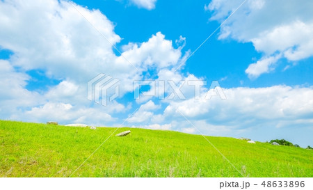 さわやかな高原風景 48633896