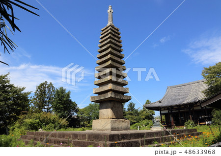 コスモス寺【奈良県奈良市】 48633968