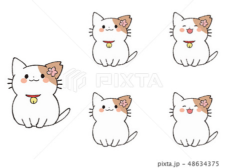 さくらねこ 48634375