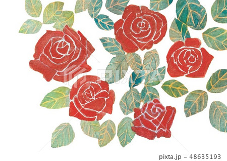 水彩画　赤いミニバラ 48635193