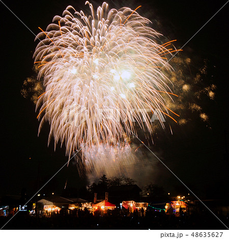 打ち上げ花火 大きい錦冠菊 夜空 打ち上げ花火 大きい錦冠菊 夜空 48635627