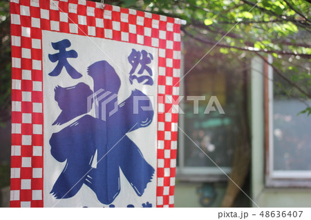 氷やさんの暖簾 氷やさんの暖簾 48636407