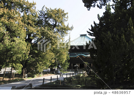 建長寺 48636957