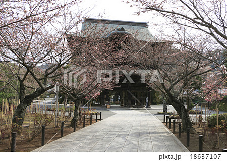 建長寺 48637107