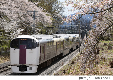 北杜市長坂町、満開の桜のトンネルを行くホリデー快速ビューやまなし 48637281