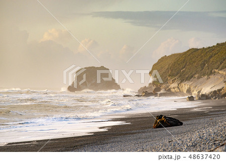 Point Elizabeth,South Island New Zealand 48637420