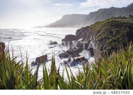 Pancake Rocks Blowholes,South Island New Zealand Pancake Rocks Blowholes,South Island New Zealand 48637430