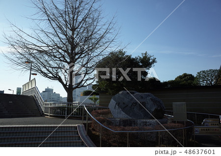 上野 パンダ橋の写真素材 上野 パンダ橋の写真素材