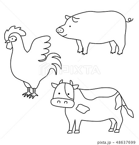 肉になる動物のイラスト 線画 のイラスト素材