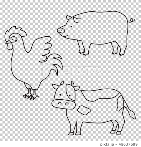 動物成肉的插圖（線條圖） 48637699