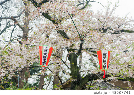 飛鳥山公園 飛鳥山 王子 48637741