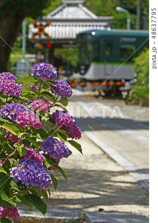 梅雨晴れ 48637795