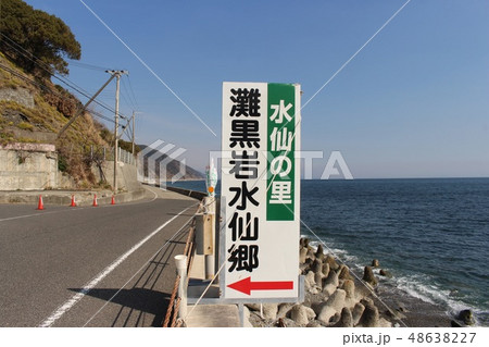 灘黒岩水仙郷 48638227