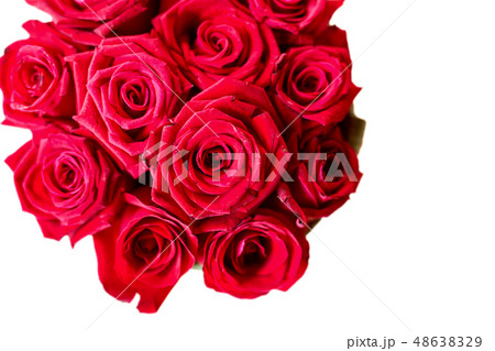 red roses bouquet isolated on white red roses bouquet isolated on white 48638329