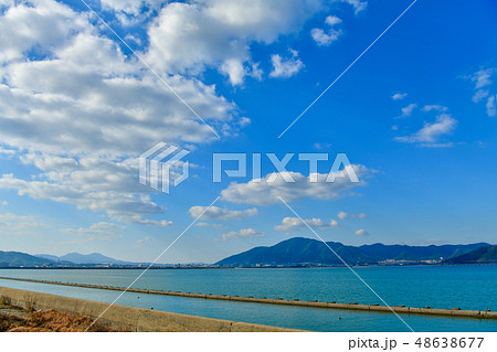 曽根干潟に遊ぶ野鳥【福岡県】 48638677