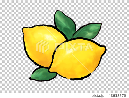 レモン れもん イラストのイラスト素材