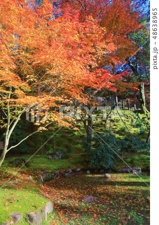 【滋賀県】紅葉の西明寺 【滋賀県】紅葉の西明寺 48638965