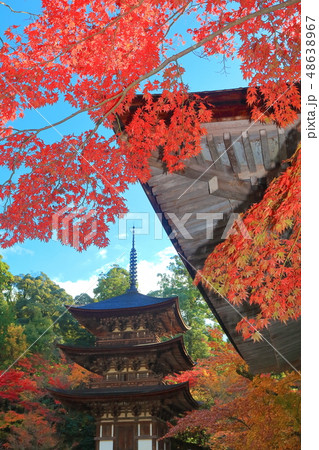 【滋賀県】紅葉の西明寺 三重塔 【滋賀県】紅葉の西明寺 三重塔 48638967