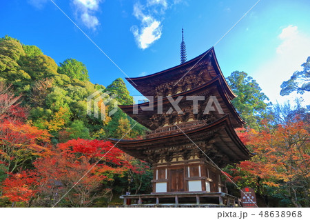 【滋賀県】紅葉の西明寺 三重塔 【滋賀県】紅葉の西明寺 三重塔 48638968