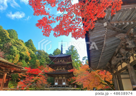 【滋賀県】紅葉の西明寺　三重塔 48638974