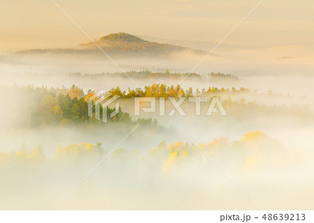 Hills with autumn trees in the fog clouds. 48639213