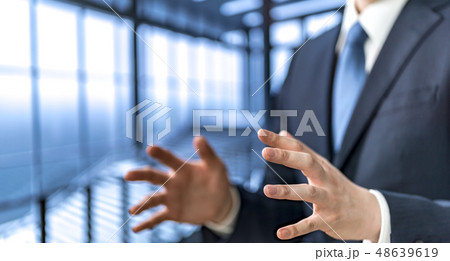 ビジネスコンセプト ビジネスコンセプト 48639619