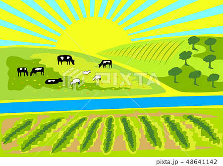 Rural landscape vector illustration. 48641142
