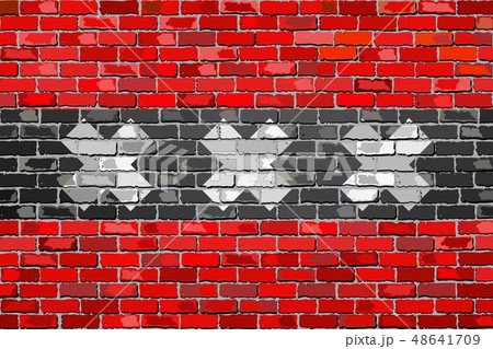 Flag of Amsterdam on a brick wall 48641709
