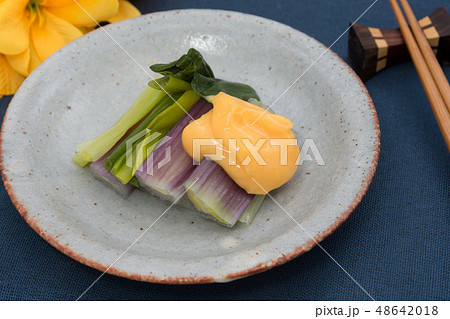 赤ねぎの黄身酢和え 赤ねぎの黄身酢和え 48642018