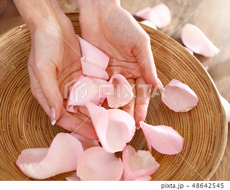 Beautiful hands of the woman and rose petals Beautiful hands of the woman and rose petals 48642545