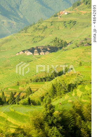 Longsheng rice terraces landscape in China Longsheng rice terraces landscape in China 48642695