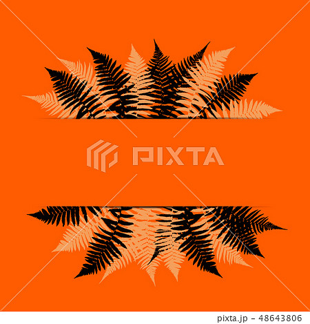 Fern Leaf Vector Background Illustration 48643806