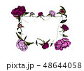 Colorful pink peony flowers frame, hand drawn. 48644058